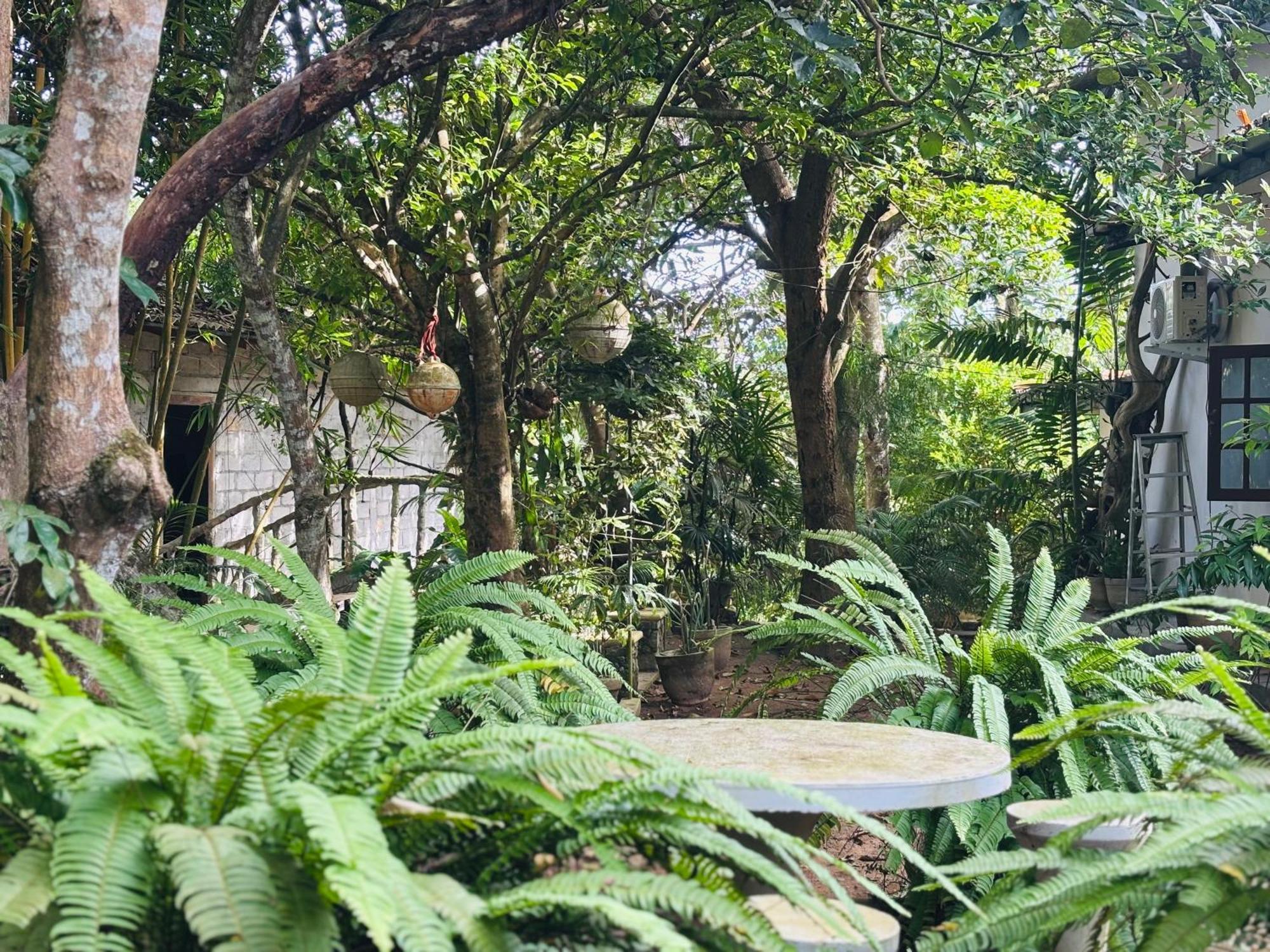ホテル Eco Garden Hiriketiya ディックウェラ エクステリア 写真