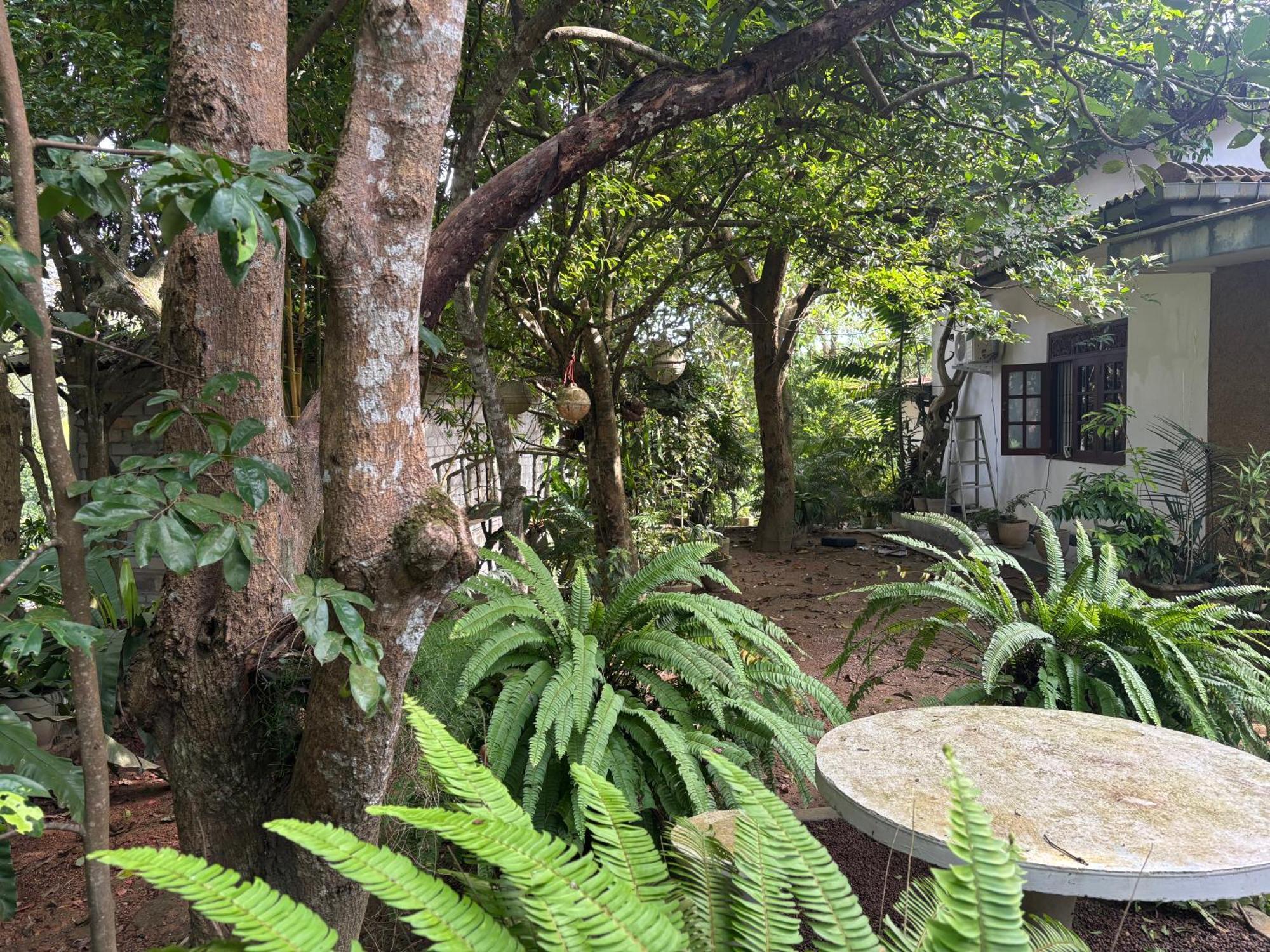 ホテル Eco Garden Hiriketiya ディックウェラ エクステリア 写真