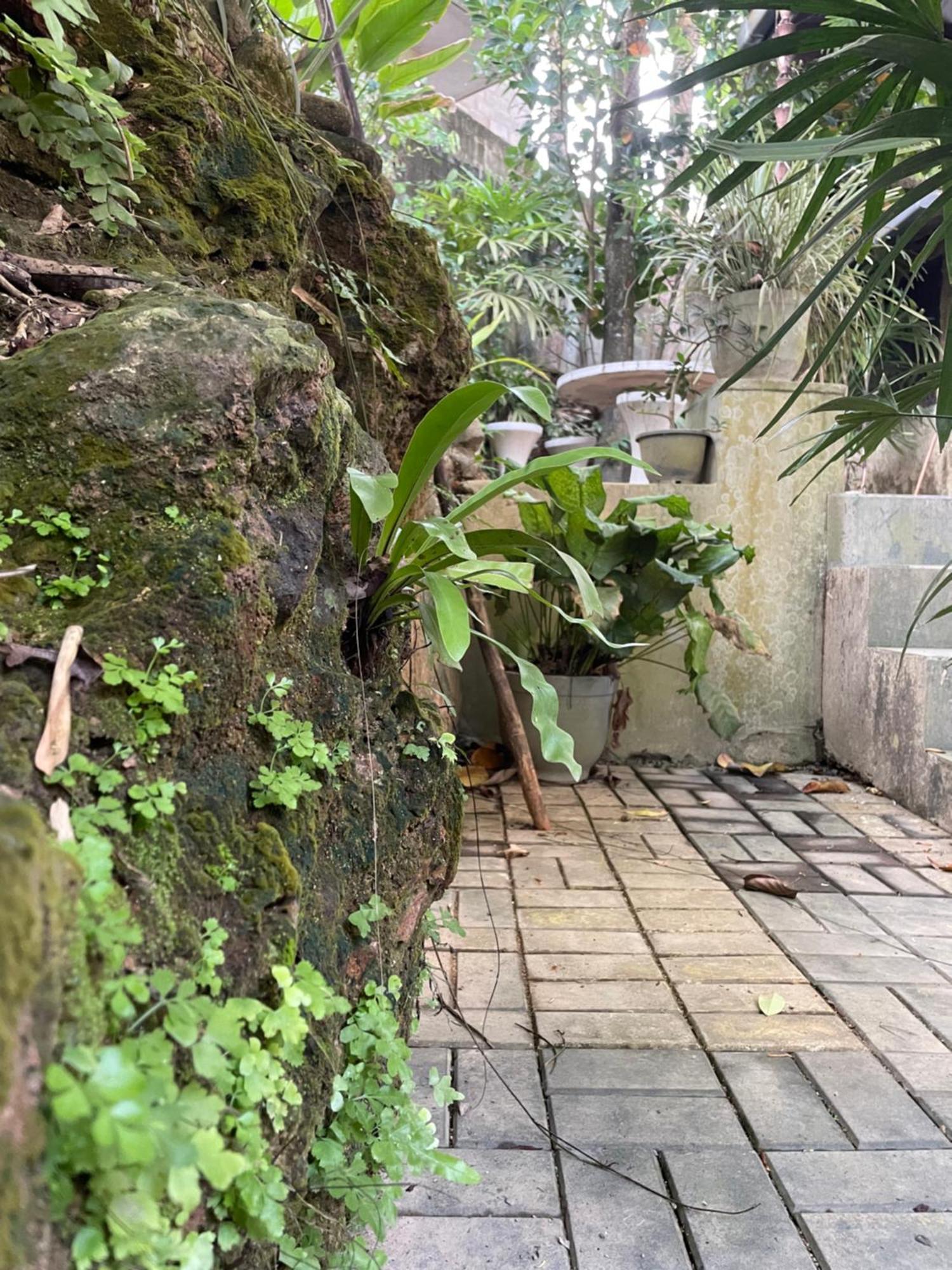ホテル Eco Garden Hiriketiya ディックウェラ エクステリア 写真