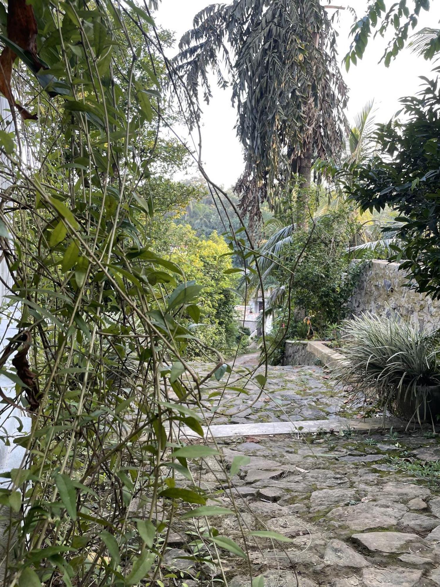 ホテル Eco Garden Hiriketiya ディックウェラ エクステリア 写真