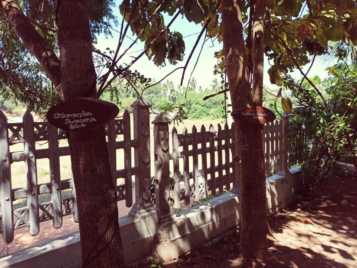 ホテル Eco Garden Hiriketiya ディックウェラ エクステリア 写真